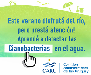 Banner de prevenciòn de Cianobacterias de CARU