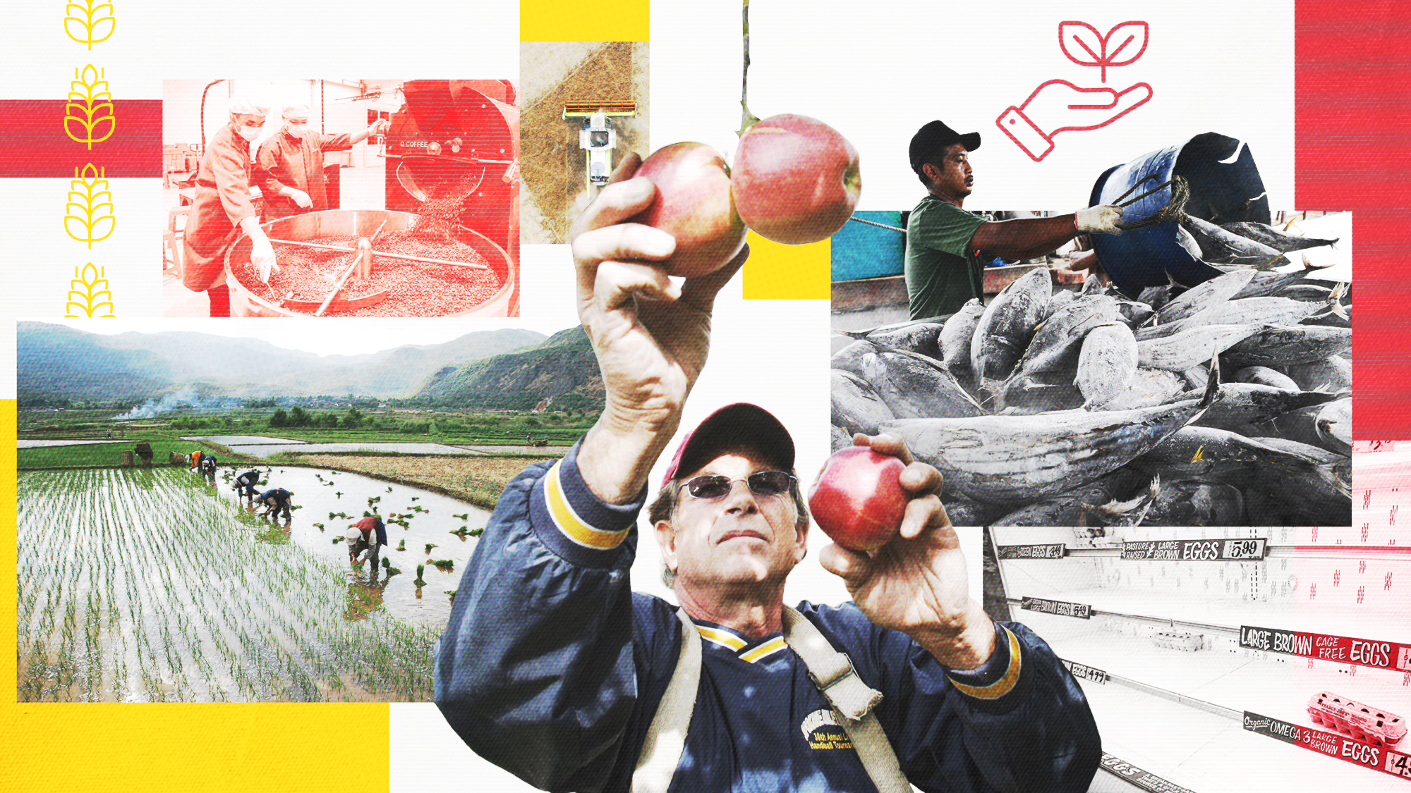 A collage of farming and people holding food.